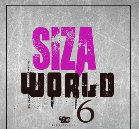 Big Citi Loops Siza World 6 WAV